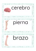Vista previa - Tarjetas / Manipulativos - Lecto-escritura minúscula de imprenta (cuerpo humano) - página 1