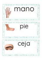 Vista previa - Tarjetas / Manipulativos - Lecto-escritura minúscula de imprenta (cuerpo humano) - página 2