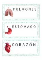 Vista previa - Tarjetas / Manipulativos - Lecto-escritura MAYÚSCULA (cuerpo humano) - Portada