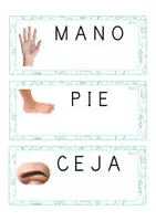 Vista previa - Tarjetas / Manipulativos - Lecto-escritura MAYÚSCULA (cuerpo humano) - página 2