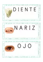 Vista previa - Tarjetas / Manipulativos - Lecto-escritura MAYÚSCULA (cuerpo humano) - página 3