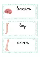Vista previa - Tarjetas / Manipulativos - INGLÉS - Lecto-escritura minúscula ligada (cuerpo humano) - página 1