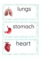 Vista previa - Tarjetas / Manipulativos - INGLÉS - Lecto-escritura minúscula de imprenta (cuerpo humano) - Portada