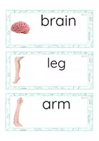 Vista previa - Tarjetas / Manipulativos - INGLÉS - Lecto-escritura minúscula de imprenta (cuerpo humano) - página 1