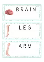 Vista previa - Tarjetas / Manipulativos - INGLÉS - Lecto-escritura MAYÚSCULA (cuerpo humano) - página 1