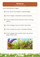 Voorbeeld - Van ei tot vlinder: levenscyclus | Werkboek groep 3–4 | Met antwoorden - Pagina 3