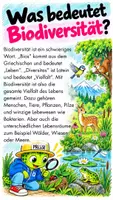 Vorschau - Präsentationen/Tafelbilder - Aktuelle Kindernachrichten für den Unterricht, Wochenausgabe 15.10.2026 - Seite 2