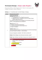 Vorschau - Stundenentwürfe - Materialpaket Körper. Liebe. Respekt. - Sexualjunde / Biologie - VOLLSTÄNDIG - Seite 1