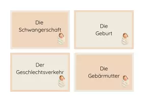 Vorschau - Aufgabenkarten - Wortschatzkarten-Schwangerschaft & Geburt - Seite 2