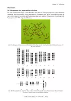 Vorschau - Test - 7 Biologie-Klausuren EF – Zellbiologie, Biomembran, Zellzyklus, Enzymatik & Zellatmung | mit Erwartungshorizonten (NRW) - Seite 2