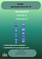 Vorschau - Test - Biologie Klausur EF: Meiose & Trisomie 21 – mit Erwartungshorizont - Deckblatt
