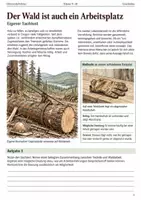 Vorschau - Arbeitsblätter - Cryptide Wald und Gebirge Bundle Klasse 9-10 - Seite 3