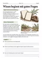 Vorschau - Arbeitsblätter - Orang Pendek Arbeitsheft Klasse 9-10 Wissen und Nachweise - Seite 2