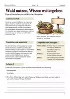 Vorschau - Arbeitsblätter - Curupira Arbeitsheft Klasse 9-10 Spuren und Waldschutz - Seite 2