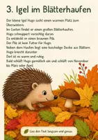 Vorschau - Arbeitsblätter - 5 Herbst Lesetexte für Klasse 1-2 inkl. ein paar herbstlicher Infos - Seite 3