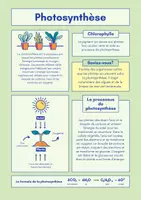 Aperçu - Préparation de séance / Séance complète - Pack Sciences Education +600 fiches d'activités - Page 2