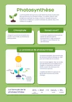 Aperçu - Préparation de séance / Séance complète - Pack Sciences Education +600 fiches d'activités - Page 1