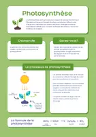 Aperçu - Préparation de séance / Séance complète - Pack Sciences Education +600 fiches d'activités - Page 3