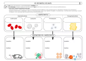 Vorschau - Arbeitsblätter - Die Bestandteile des Blutes – Biologie Klasse 7 | differenziert mit Lösungen - Deckblatt