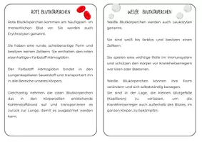 Vorschau - Arbeitsblätter - Die Bestandteile des Blutes – Biologie Klasse 7 | differenziert mit Lösungen - Seite 3