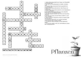 Vorschau - Arbeitsblätter - Pflanzen - Kreuzworträtsel - Seite 1