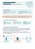 Vorschau - Stundenentwürfe - Replikation der DNA: identische Verdopplung, Enzyme, Leit- & Folgestrang | Unterrichtsreihe "Genetik", Biologie 9./10. Klasse - Seite 2
