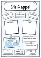 Vorschau - Arbeitsblätter - Steckbrief Pappel (Baum/Bäume) - Seite 1