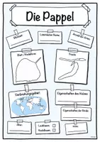 Vorschau - Arbeitsblätter - Steckbrief Pappel (Baum/Bäume) - Deckblatt