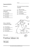 Vorschau - Arbeitsblätter - Lesen und Verstehen Leseverständnis Sachtexte Tiere - Seite 2