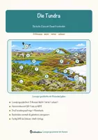 Vorschau - Arbeitsblätter - Die Tundra – Lesespurgeschichte mit Rätselaufgaben (Klasse 8) - Seite 1