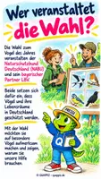Vorschau - Präsentationen/Tafelbilder - Mehlschwalbe – Vogel des Jahres 2027 | Sachunterricht Klasse 2–4 - Seite 1