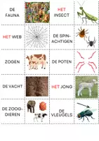Voorbeeld - memory beest en bos - Voorblad
