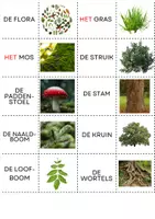 Voorbeeld - memory beest en bos - Pagina 2