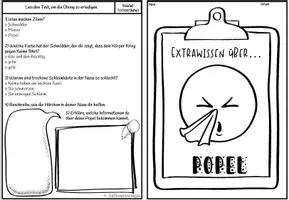 Vorschau - Arbeitsblätter - Halloween - Spezial: 10 Eklige Lesetexte (+ Aufgaben / Lösungen) - Seite 1