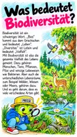 Vorschau - Präsentationen/Tafelbilder - Was ist eigentlich die UNO? – Die Vereinten Nationen kindgerecht erklärt - Seite 1