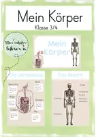 Vorschau - Poster - Mein Körper – Lernplakate zum Skelett und zur Verdauung - Deckblatt