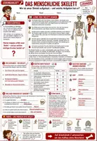 Vorschau - Unterrichtsreihen - 🦴💀🔬 Skelett & Knochen 🩻🩸 | Unterrichtsmaterial Biologie 🧬 | Arbeitsblätter ✏️ Lösungen ✅ Knochen-Suchsel 🔎 Einstieg 💡 & Ausstieg 💬 | Klasse 7–8 Biologie (Bio) 🎓 - Seite 3
