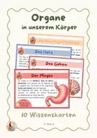 Vorschau - Merkblätter - Organe des Menschen – Wissenskarten | Sachunterricht Klasse 3/4 - Deckblatt