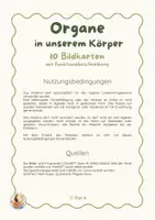 Vorschau - Präsentationen/Tafelbilder - Organe des Menschen – Bildkarten Tafelmaterial | Sachunterricht - Seite 2