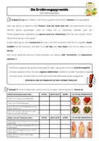 Vorschau - Arbeitsblätter - Die Ernährungspyramide | Aufbau, Ampelfarben & Portionen | Arbeitsblätter mit Lösungen | AES Klasse 6/7 - Seite 3