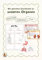 Vorschau - Stundenentwürfe - Organe des Menschen: Steckbriefe | Sachunterricht Klasse 3/4 - Deckblatt