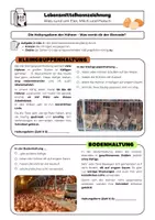 Vorschau - Arbeitsblätter - Lebensmittelkennzeichnung: Eier, Milch und Fleisch | AES | mit Lösungen - Seite 2