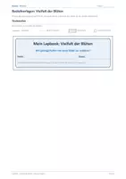 Vorschau - Anderer Materialtyp - Biologie: Lapbook - Blüten - Seite 1