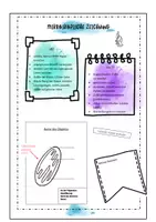 Vorschau - Arbeitsblätter - Wissenschaftliches Arbeiten in Biologie - Wachsendes Materialpaket für die Sekundarstufe I und II - Seite 3