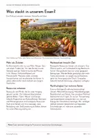 Vorschau - Unterrichtsreihen - Nachhaltige Ernährung & biologische Ressourcen – Lernwerkstatt Biologie | Komplette Unterrichtseinheit zu Lebensmitteln, Landwirtschaft, Ressourcenverbrauch & Nachhaltigkeit | Arbeitsblätter mit Lösungen - Seite 3