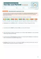 Vorschau - Stundenentwürfe - Vom Gen zum Merkmal: Proteinbiosynthese (Transkription, Translation, genetischer Code) | Unterrichtsreihe "Genetik", Biologie 9./10. Klasse - Seite 1