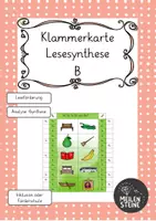 Vorschau - Fördermaterial/Inklusion - Klammerkarte Lesesynthese B - Deckblatt