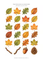 Vorschau - Mal- und Bastelvorlagen - Herbstblätter und Naturmotive zum Ausschneiden - Deckblatt