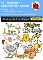 Vorschau - selbst erstellte Cliparts/Grafiken - Hähnchen Lebenszyklen Clipart - Deckblatt