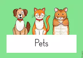 Vorschau - Poster - Themenplakat Pets - Einheitsposter - Seite 1